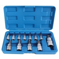 Набор бит TORX с отверстием T8-T70 впрессованных в головку 1/4" 3/8" 1/2" SATRA S-A13WT Набор бит TORX с отверстием T8-T70 впрессованных в головку 1/4" 3/8" 1/2" SATRA S-A13WT