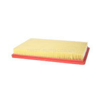 Повітряний фільтр RUPES Panel Filter for KS260E Для промислового пилососу Повітряний фільтр RUPES Panel Filter for KS260E Для промислового пилососу
