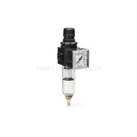 Воздушный фильтр с регулятором давления 1/4" (1200л/мин) ANI E/14/2 | AH116302
