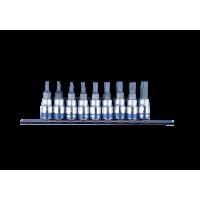 Набір TORX 1/4" 9 од. у тримачі T8-T40 з отвором (на планці) | 2119PR