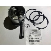 Поршень в сборе для АВ 415/515 Д65мм+SEGM.+SPIN+ANE (4291070000) | 1124290107