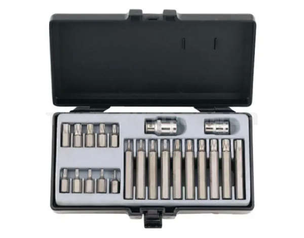 Набор бит 3/8" и 1/2"  Torx с отверстием 22 пр. (Т10Н-Т55Н)  FORCE 4222