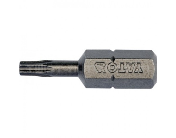 Набір біт TORX 1/4" Т10 L=25 мм 10 предметів