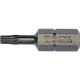 Набір біт TORX 1/4" Т10 L=25 мм 10 предметів
