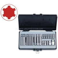 Набор бит 3/8" и 1/2"  Ribe 22 пр. (M4-M14)  FORCE 4225