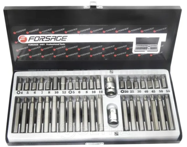 Набор бит с битодержателями 40пр.10мм (70/35, T20-Е55, H4-Р12, M5-M12) в металическом кейсе Forsage F-4401C